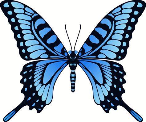 butterfly gif